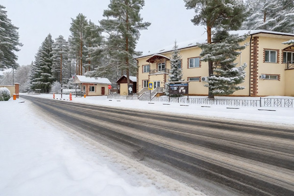 Продам коттедж, СНТ Ветеран-7 тер, 43, Юрьевка д, 0 км от города