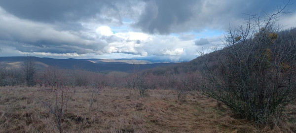 Продам участок 142 соток, Фермерское хоз., Скалистое с, 0 км от города