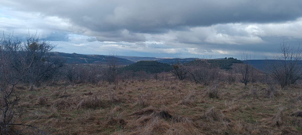 Продам участок 142 соток, Фермерское хоз., Скалистое с, 0 км от города