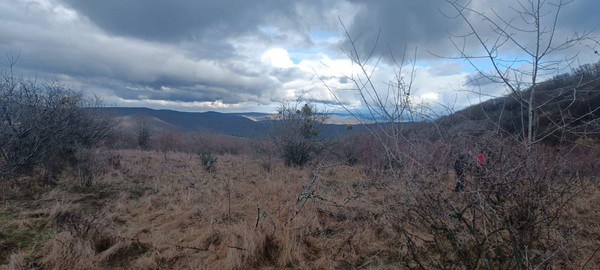 Продам участок 142 соток, Фермерское хоз., Скалистое с, 0 км от города