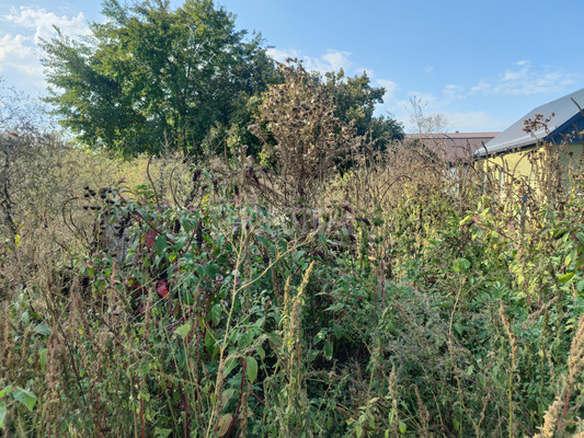 Продам участок 6 соток, ИЖС, Октябрьская ул, Львовское с, 0 км от города