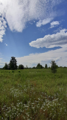 Продам участок 16 соток, ИЖС, Кузнецово д, 0 км от города