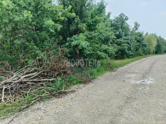 Продам участок 3,2 соток, ИЖС, Михайловское с, 0 км от города