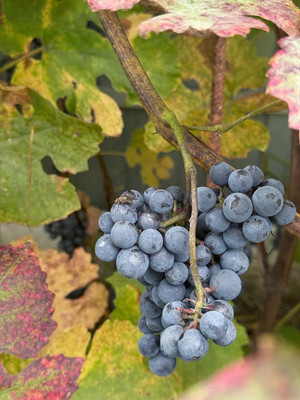 Продам дом, 126, Ильинское д, 0 км от города