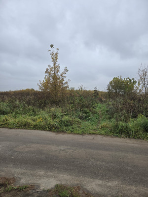 Продам участок 10 соток, ИЖС, Заболотье д, 0 км от города