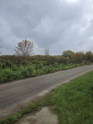 Продам участок 10 соток, ИЖС, Заболотье д, 0 км от города