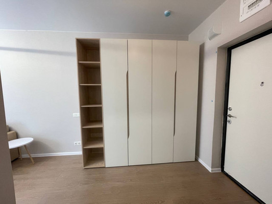 Продам однокомнатную (1-комн.) квартиру, Современников (Пригород Лесное мкр.) ул, 2, Мисайлово д