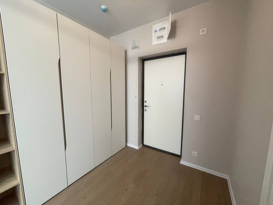 Продам однокомнатную (1-комн.) квартиру, Современников (Пригород Лесное мкр.) ул, 2, Мисайлово д