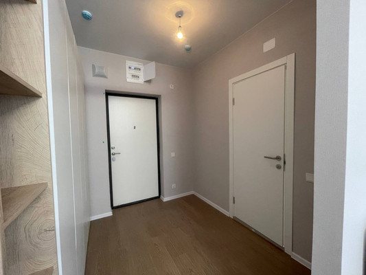 Продам однокомнатную (1-комн.) квартиру, Современников (Пригород Лесное мкр.) ул, 2, Мисайлово д