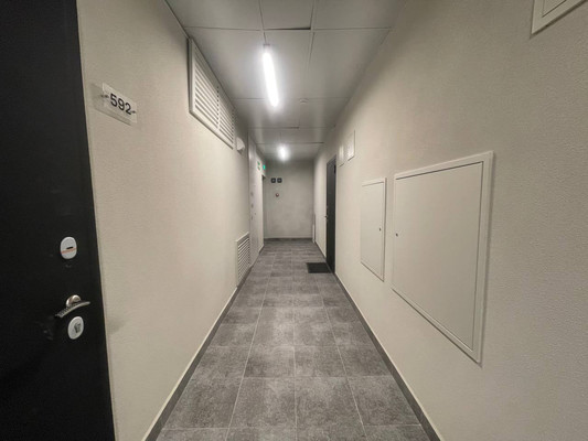 Продам однокомнатную (1-комн.) квартиру, Современников (Пригород Лесное мкр.) ул, 2, Мисайлово д