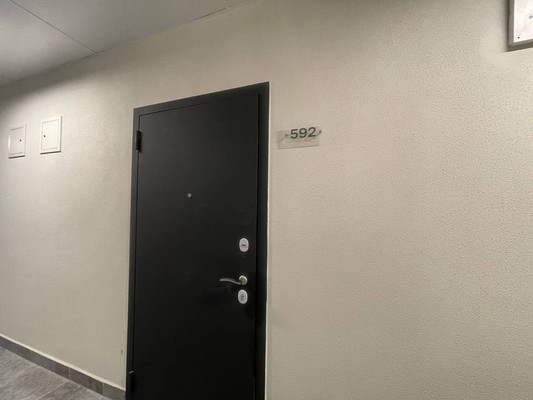 Продам однокомнатную (1-комн.) квартиру, Современников (Пригород Лесное мкр.) ул, 2, Мисайлово д