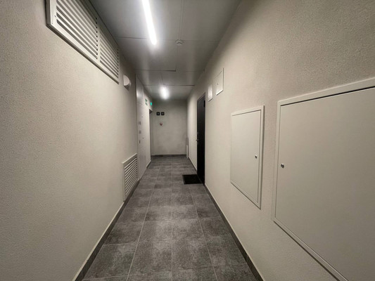 Продам однокомнатную (1-комн.) квартиру, Современников (Пригород Лесное мкр.) ул, 2, Мисайлово д