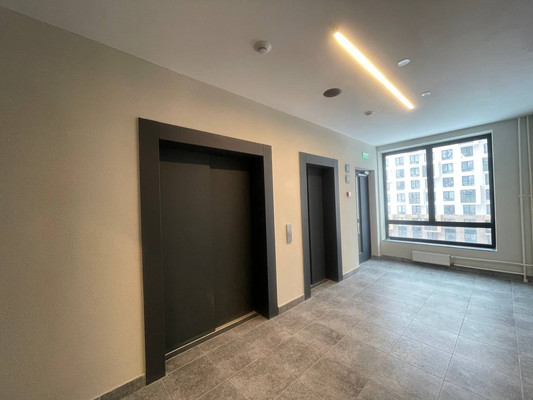 Продам однокомнатную (1-комн.) квартиру, Современников (Пригород Лесное мкр.) ул, 2, Мисайлово д