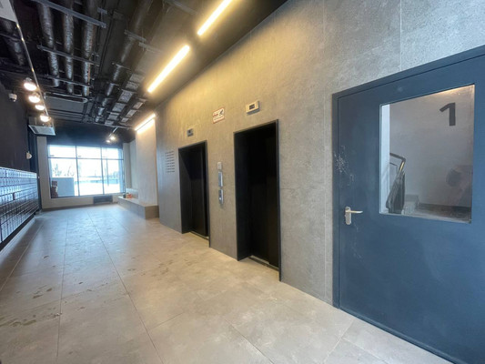 Продам однокомнатную (1-комн.) квартиру, Современников (Пригород Лесное мкр.) ул, 2, Мисайлово д