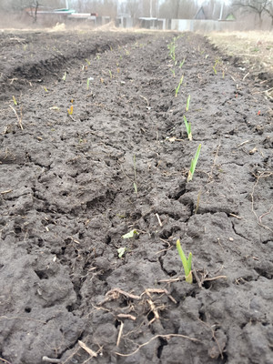 Продам участок 6 соток, Фермерское хоз., садоводческое товарищество Ветеран тер, 0 км от города