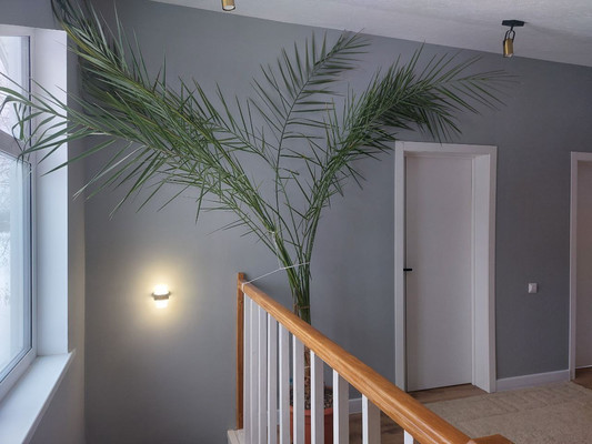 Продам дом, Пушкинская переулок 2 ул, Зарелье д, 0 км от города