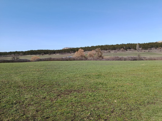 Продам землю для коммерческого использования 54 соток, Фермерское хоз., Ленинского Комсомола ул, Партизанское с