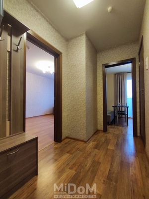 Сдам однокомнатную (1-комн.) квартиру, Коллонтай ул, 5/1, Санкт-Петербург г