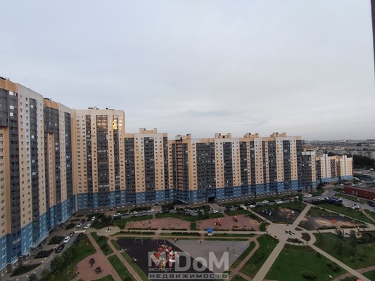 Сдам однокомнатную (1-комн.) квартиру, Коллонтай ул, 5/1, Санкт-Петербург г