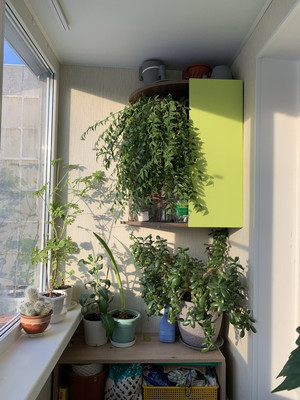 Продам двухкомнатную (2-комн.) квартиру, Центральная ул, 6к1, Сертолово г