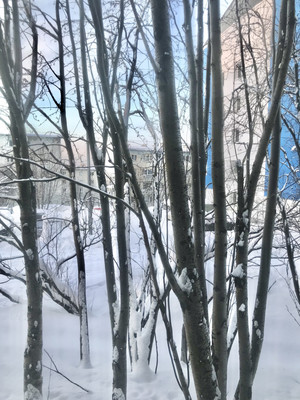 Продам однокомнатную (1-комн.) квартиру, Новое Плато ул, 20, Мурманск г