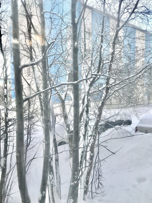 Продам однокомнатную (1-комн.) квартиру, Новое Плато ул, 20, Мурманск г