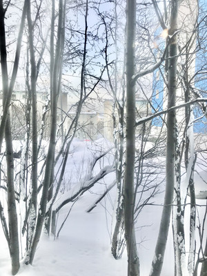 Продам однокомнатную (1-комн.) квартиру, Новое Плато ул, 20, Мурманск г