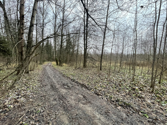 Продам участок 141,77 соток, Фермерское хоз., Бородино д, 0 км от города