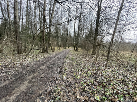 Продам участок 141,77 соток, Фермерское хоз., Бородино д, 0 км от города