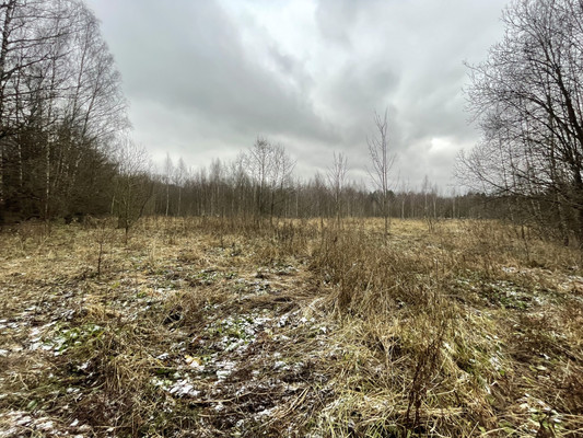 Продам участок 141,77 соток, Фермерское хоз., Бородино д, 0 км от города