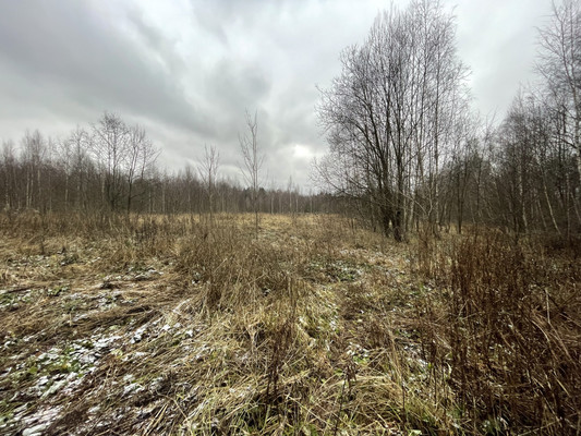 Продам участок 141,77 соток, Фермерское хоз., Бородино д, 0 км от города