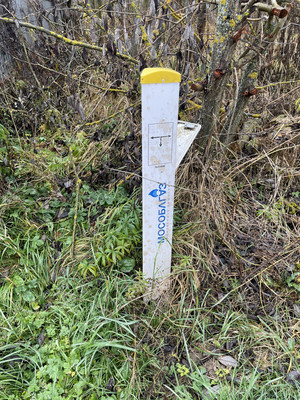 Продам коттедж, 10ка, Васькино д, 0 км от города