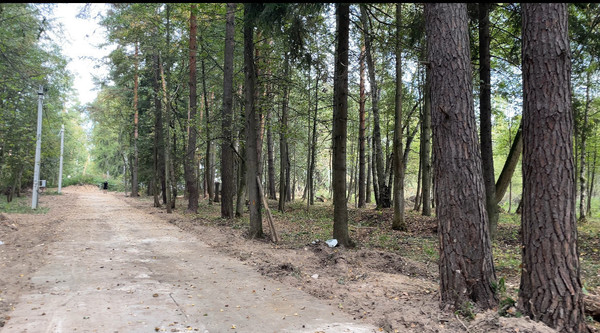 Продам участок 6 соток, ИЖС, Прохорово д, 0 км от города