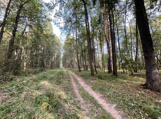 Продам участок 6 соток, ИЖС, Прохорово д, 0 км от города