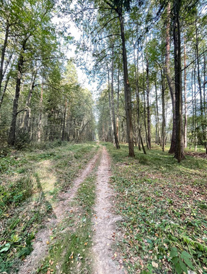 Продам участок 6 соток, ИЖС, Прохорово д, 0 км от города