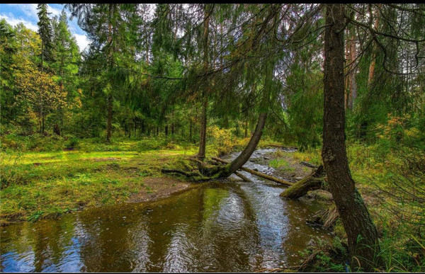 Продам участок 12 соток, Фермерское хоз., Радуга тер. СНТ, 82, Талдом г, 0 км от города