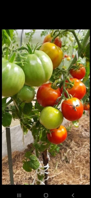 Продам дом, 76 км, Дмитров г, 0 км от города