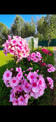 Продам дом, 76 км, Дмитров г, 0 км от города