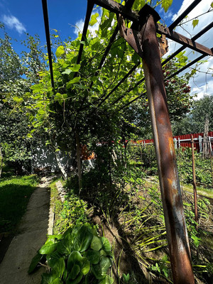 Продам дачу, КП Березки вилладж тер, 15, Курганье д, 0 км от города