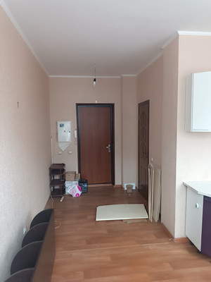 Продам однокомнатную (1-комн.) квартиру, Ростовская ул, 4б/3, Новая Усмань с