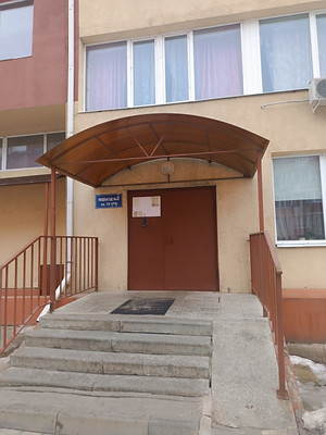 Продам однокомнатную (1-комн.) квартиру, Ростовская ул, 4б/3, Новая Усмань с