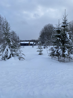 Продам участок 6,56 соток, ИЖС, 76 км, Дмитров г, 0 км от города