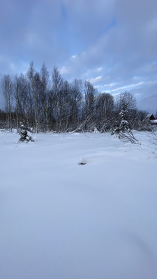 Продам участок 6,56 соток, ИЖС, 76 км, Дмитров г, 0 км от города