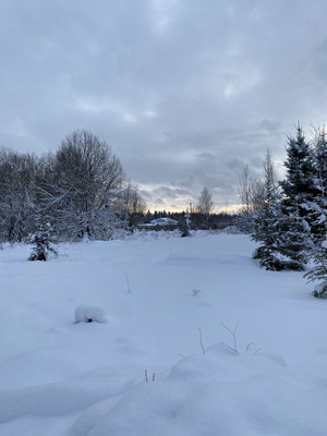 Продам участок 6,56 соток, ИЖС, 76 км, Дмитров г, 0 км от города