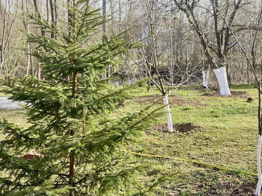 Продам коттедж, СНТ Ротор тер, Лаговское д, 0 км от города