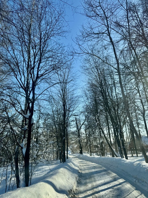 Продам коттедж, СНТ Ротор тер, Лаговское д, 0 км от города