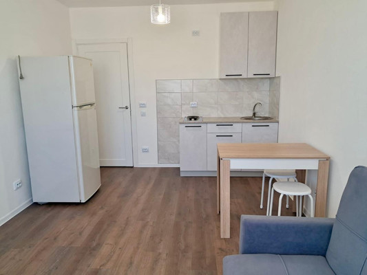 Сдам однокомнатную (1-комн.) квартиру, Муринская дор, 29, Санкт-Петербург г