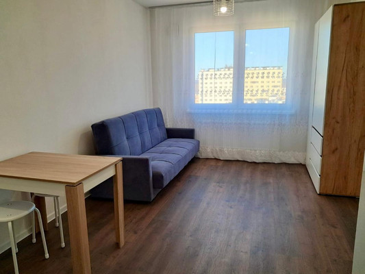 Сдам однокомнатную (1-комн.) квартиру, Муринская дор, 29, Санкт-Петербург г