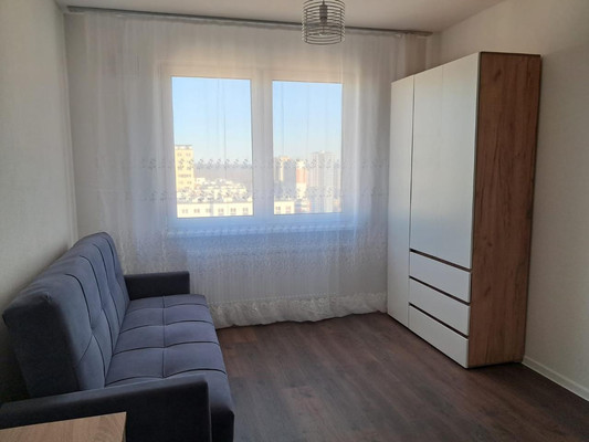 Сдам однокомнатную (1-комн.) квартиру, Муринская дор, 29, Санкт-Петербург г