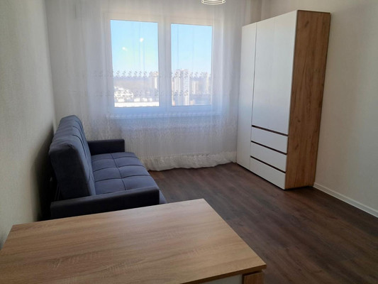 Сдам однокомнатную (1-комн.) квартиру, Муринская дор, 29, Санкт-Петербург г